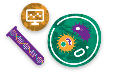 Late-Stage Clinical Phase