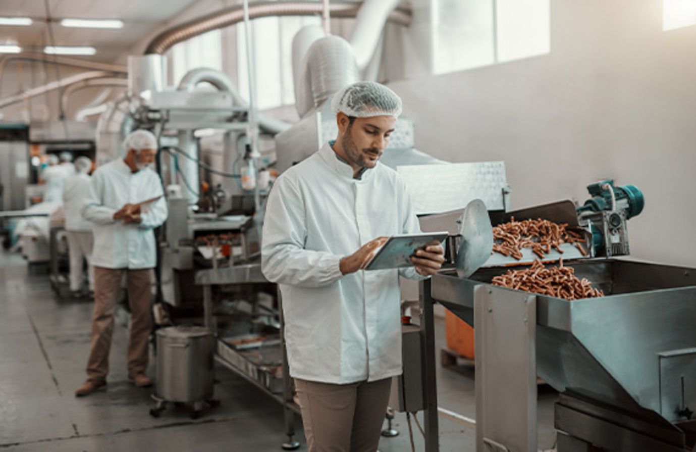 A team member in a food and beverage factory using a tablet to perform tasks efficiently.