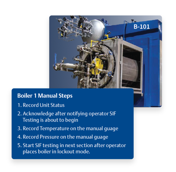 Capture Manual/Visual Verification