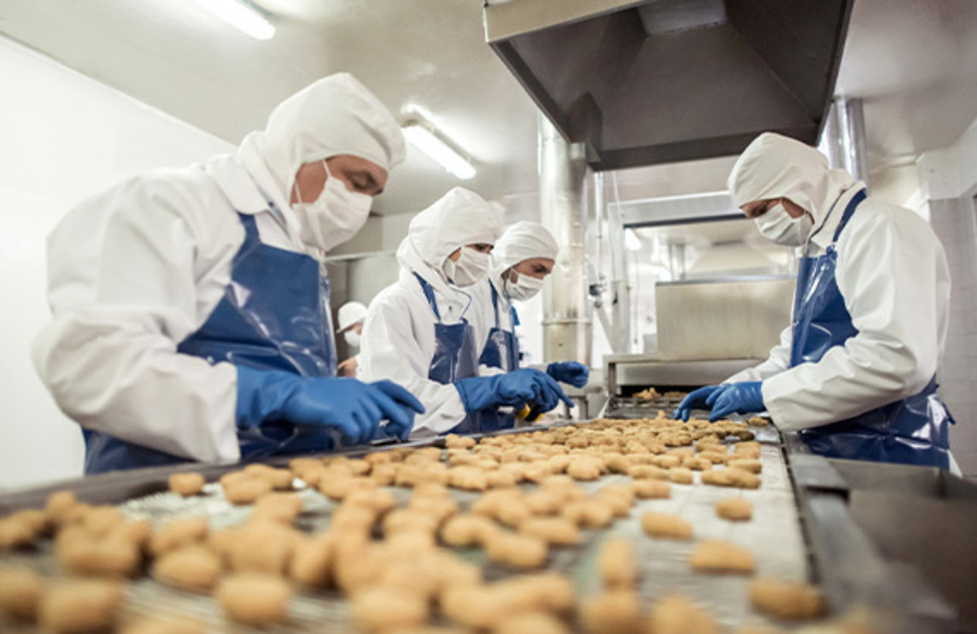 Team members in protective gear preparing food in a factory.