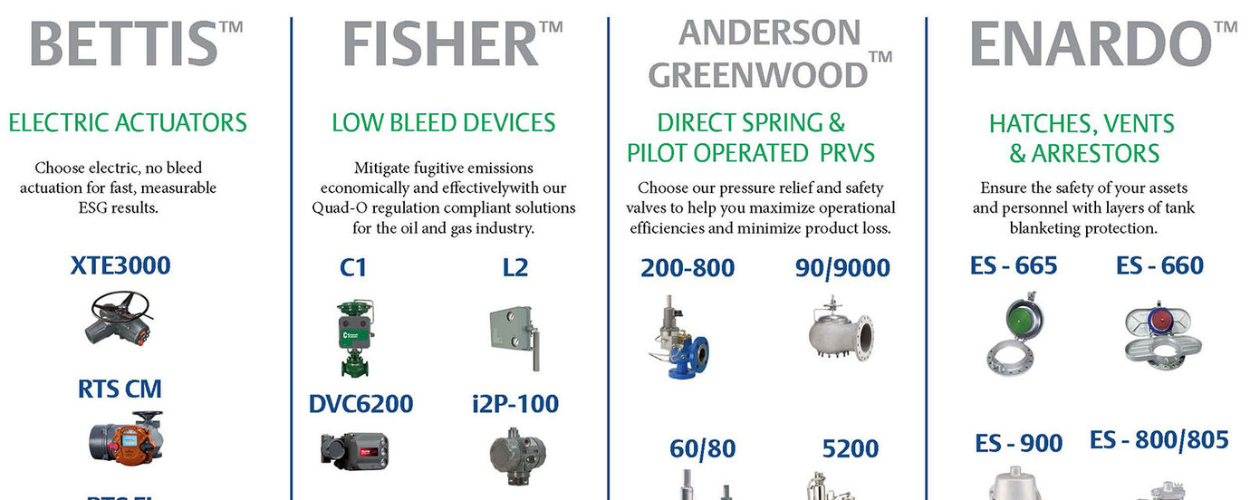 ESG Solutions Flyer