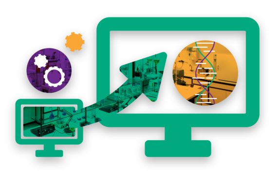 IT Infrastructure Roadmap Planning and Implementation
