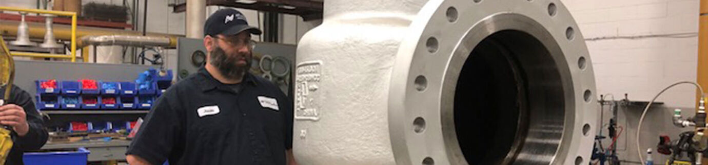 AOV & MOV Valve Repair
