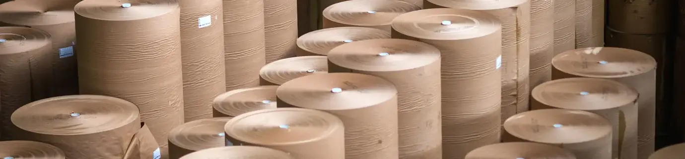 Pulp & Paper Solutions