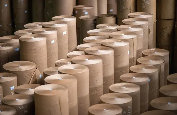 Pulp & Paper Solutions