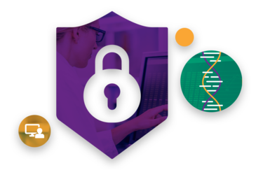Cybersecurity Assessment, Strategy and Implementation
