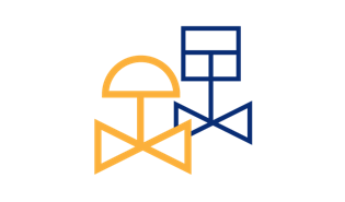 Valve & Control Devices