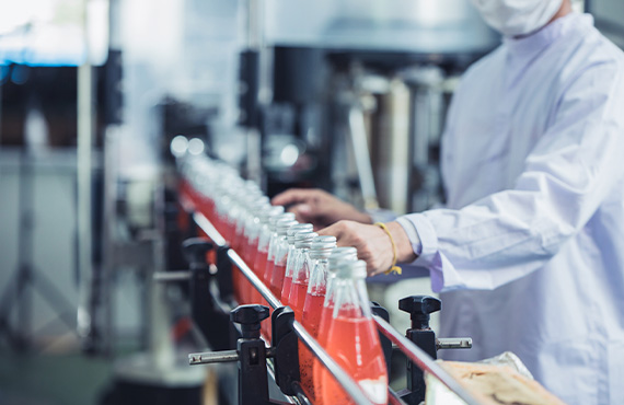 A team member in a white coat diligently working on a production line in a food and beverage factory.
