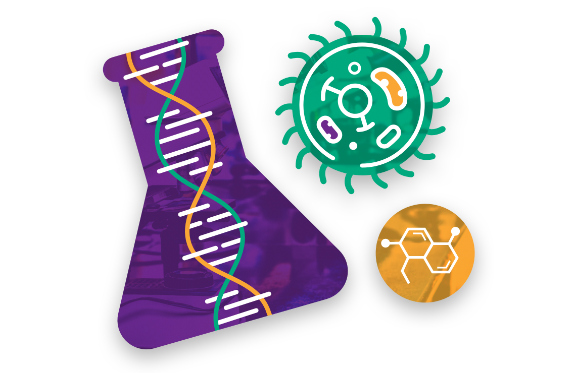 Early Clinical Phase Early Clinical Phase