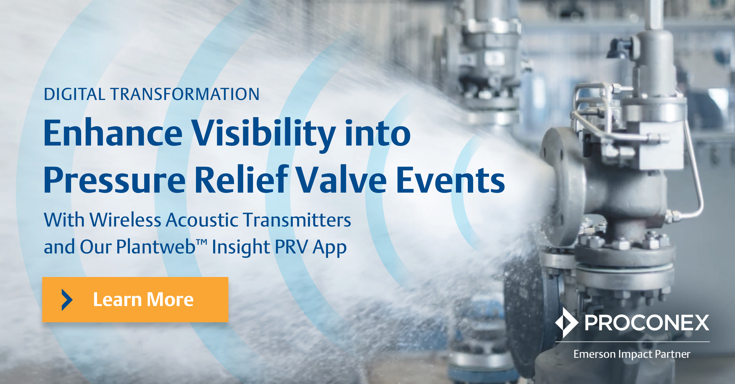 With Wireless Acoustic Transmitters & Our Plantweb™ Insight PRV App With Wireless Acoustic Transmitters & Our Plantweb™ Insight PRV App