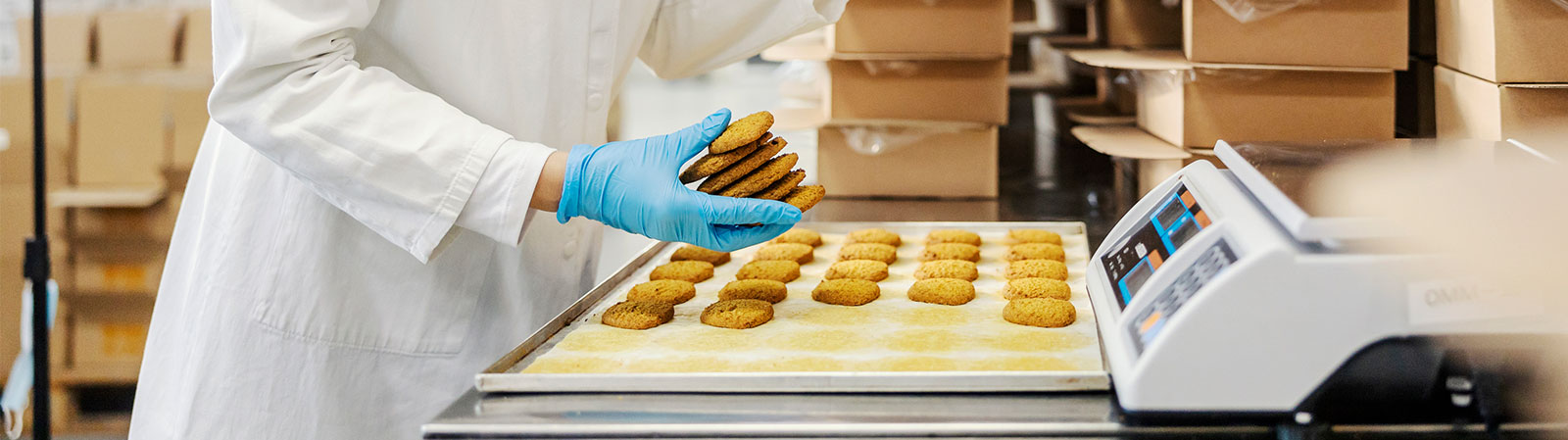 Weighing Solutions<br>for Industrial Processes