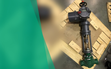 Bettis™ RTS Actuators