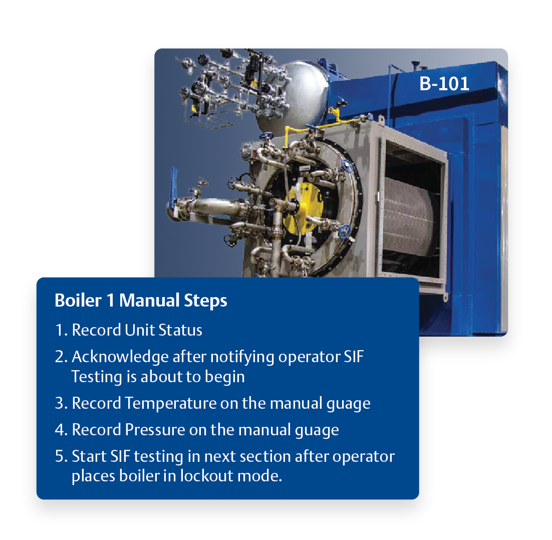 Capture Manual/Visual Verification