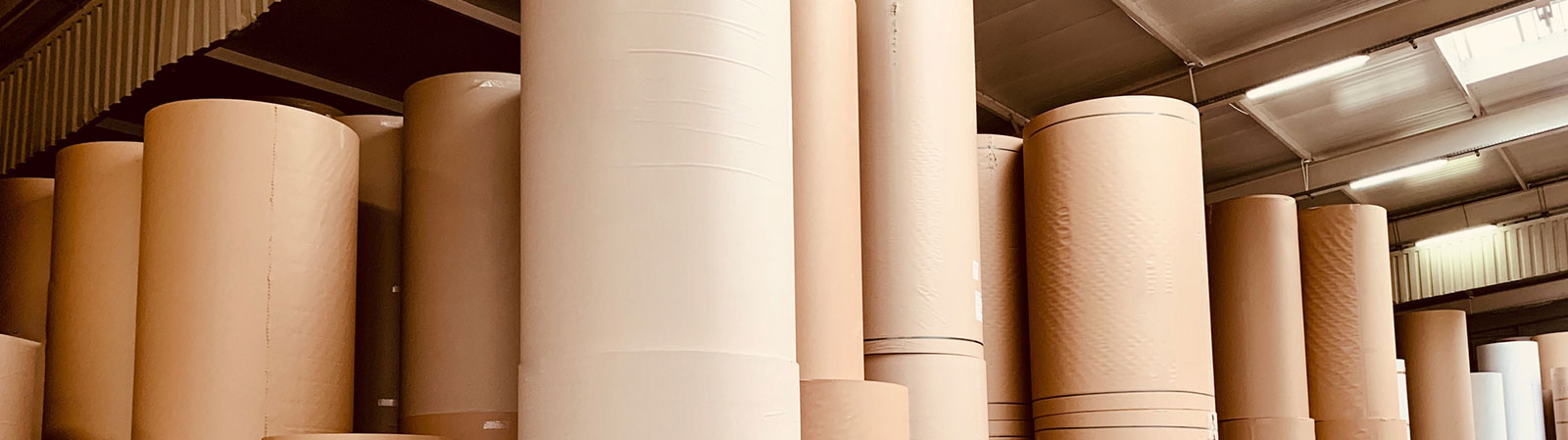 Pulp and Paper