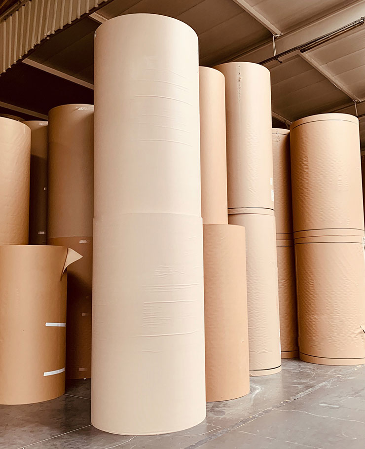 Pulp and Paper
